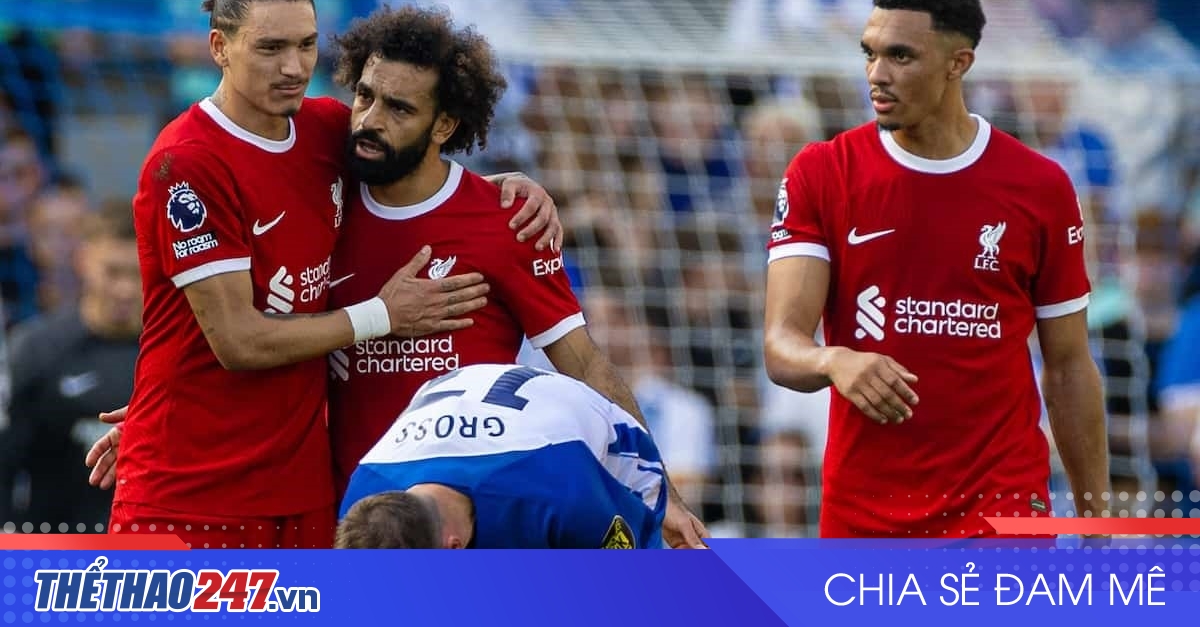 vaobong – Nhận định Brighton vs Liverpool: Lữ đoàn đỏ gặp khó, 02h30 ngày 31/10