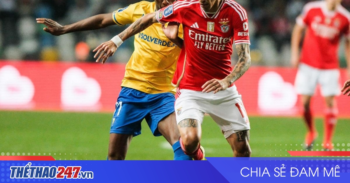 vaobong – Nhận định Benfica vs Estoril: Chủ nhà áp đảo, 01h45 ngày 24/12/2024